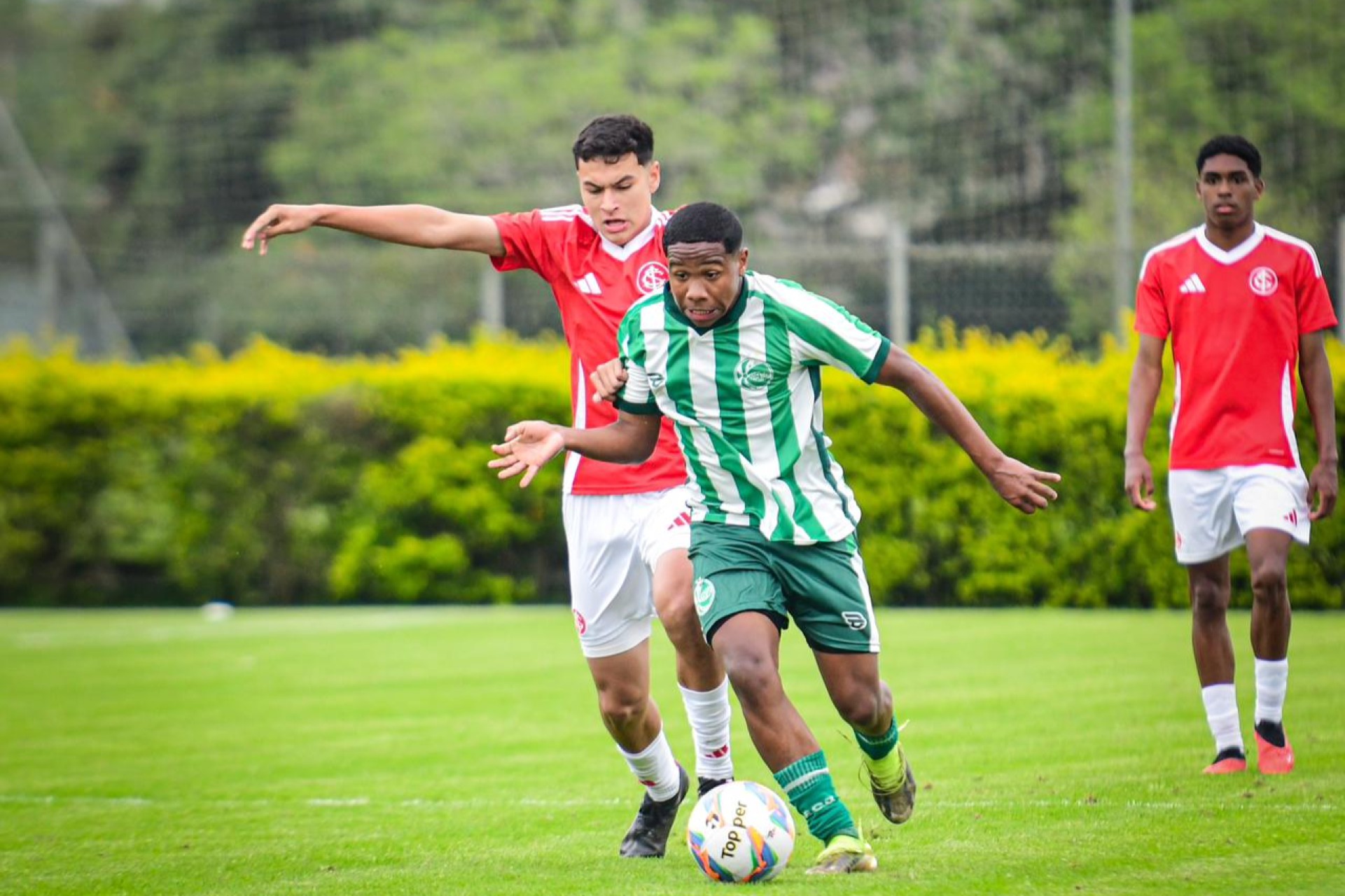 Base alviverde conquista um ponto na Copa Sul