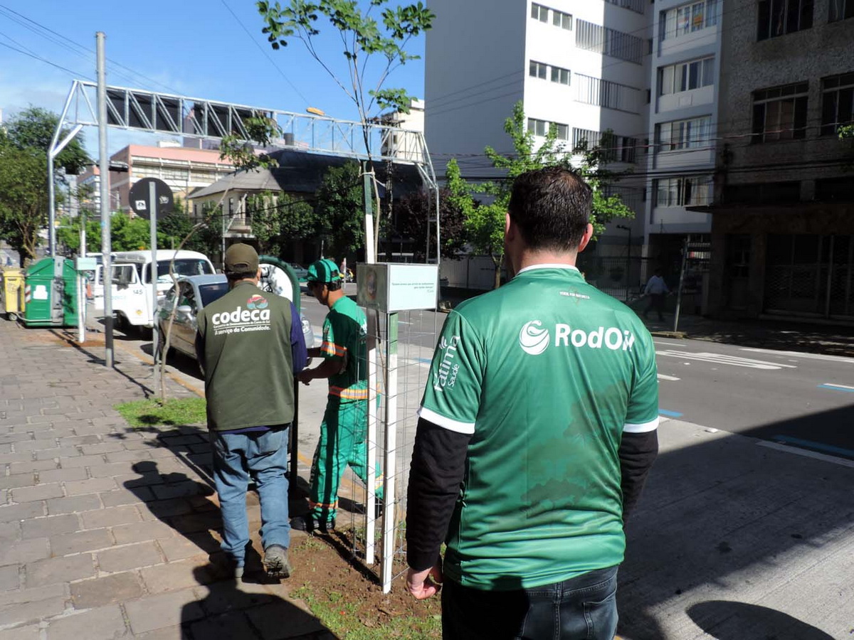SEMMA inicia plantio das árvores da campanha “Verde por Natureza”