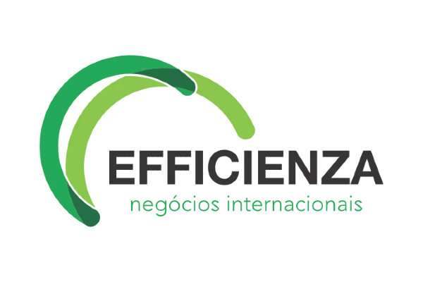 Efficienza